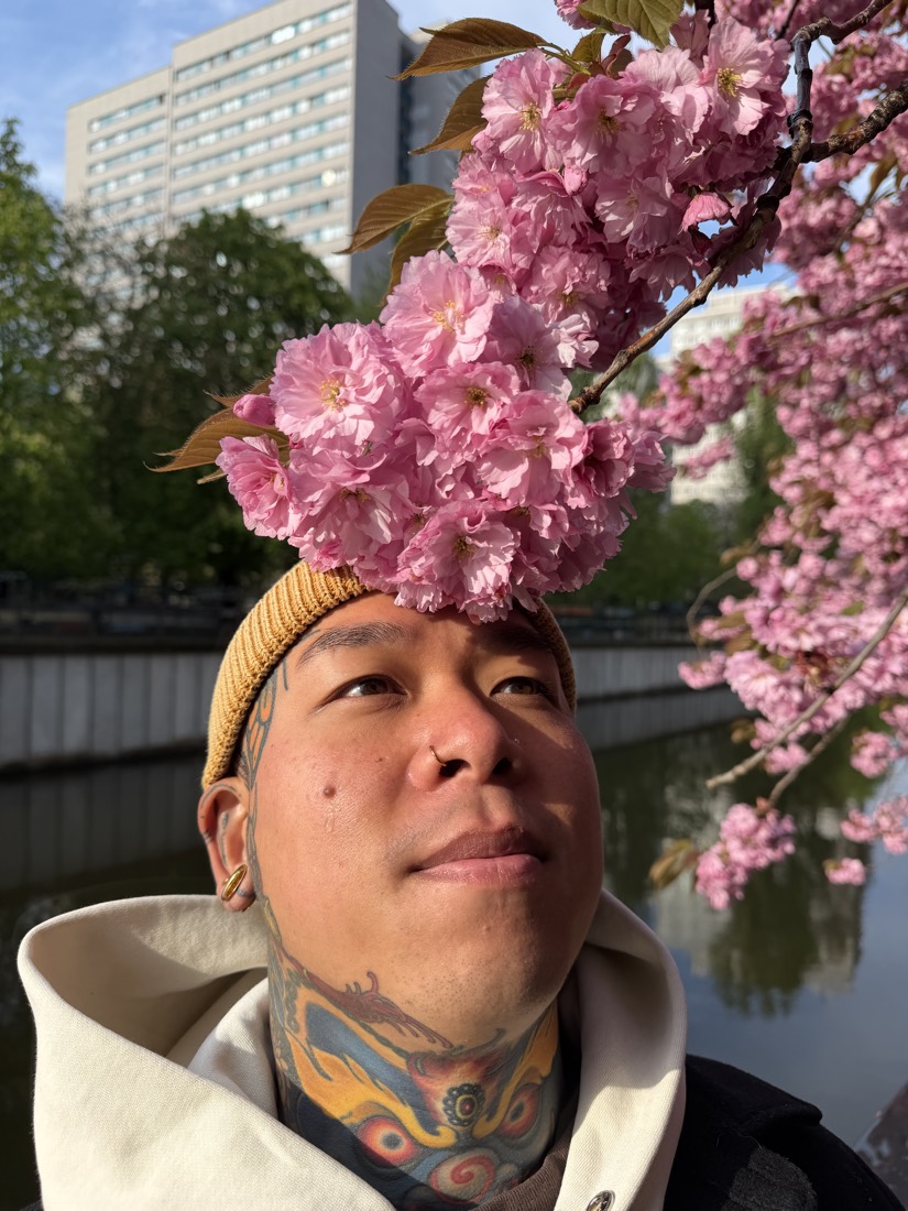 Brian Divine beneath pink cherry blossoms